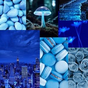 Live Listing: All Things Blue 🔹🔷🔹